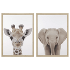 Set of 2 Animals Framed Canvases