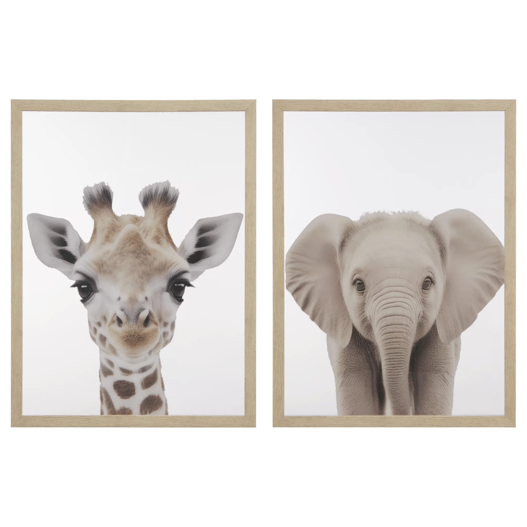 Set of 2 Animals Framed Canvases