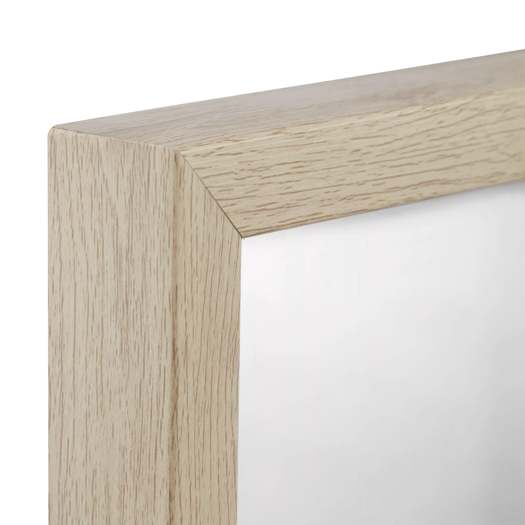 Set of 2 Animals Framed Canvases