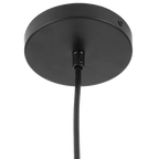 Glass Globe Ceiling Lamp