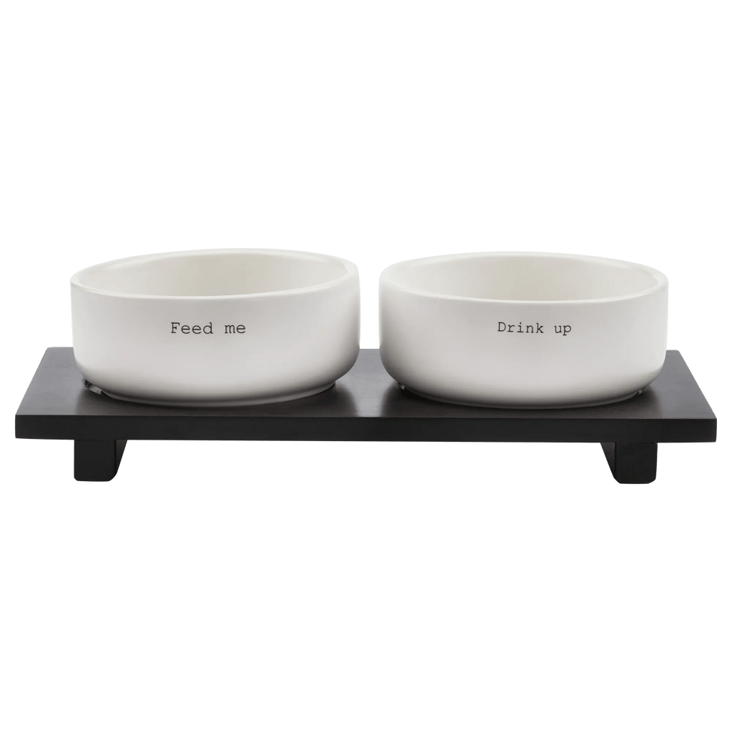 Set of 2 pet bowls