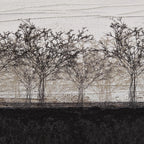 Black and White Landscape Framed Art