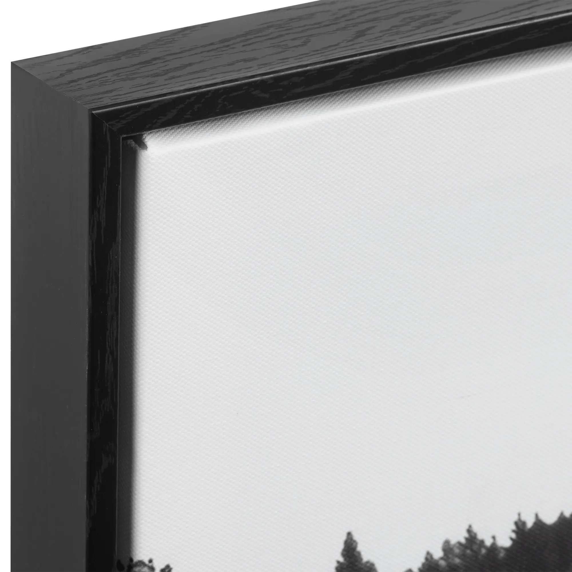 Dock with Mountain View Printed Canvas