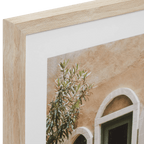 Sage Door Framed Art