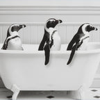 Penguins in Bathtub Printed Framed Canvas