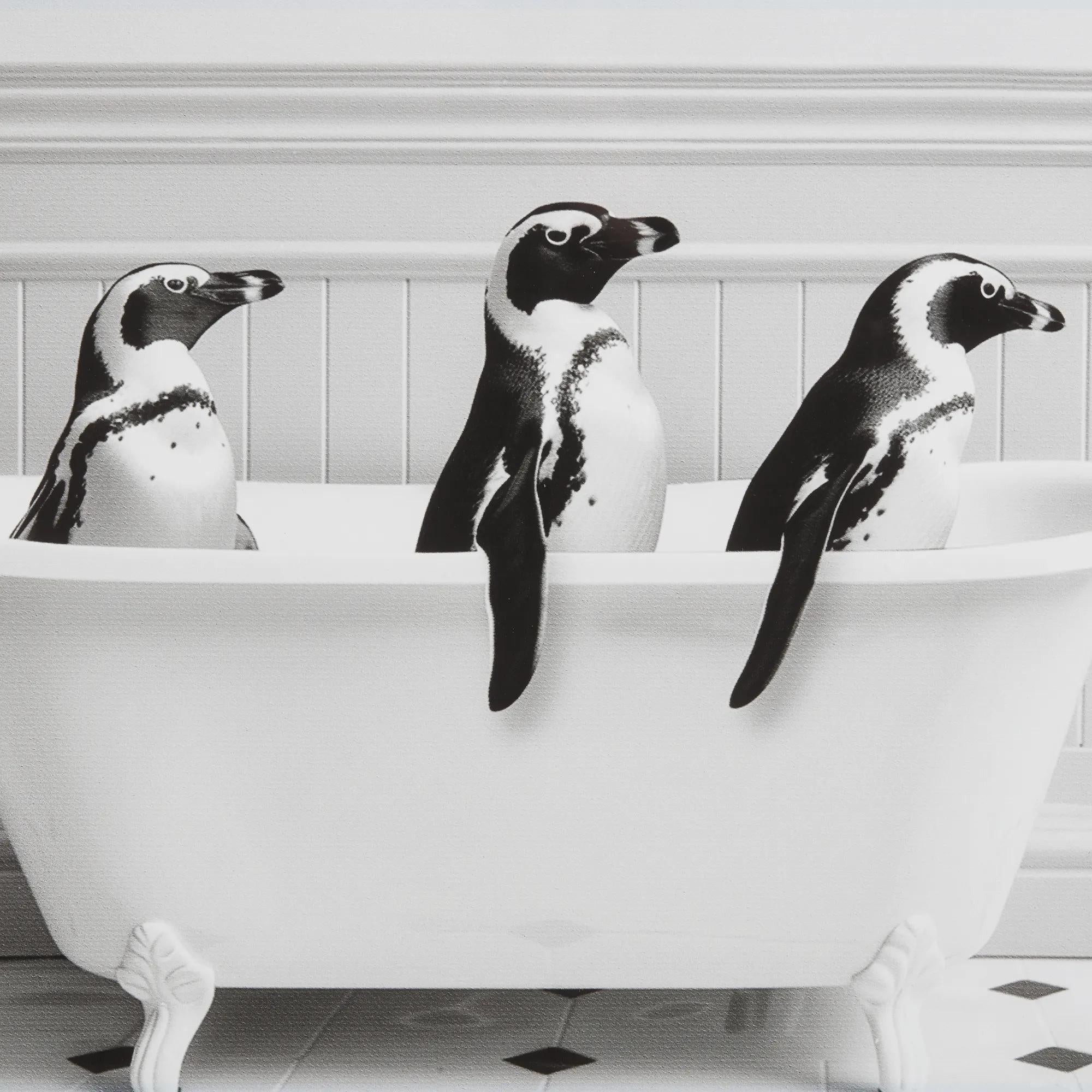 Penguins in Bathtub Printed Framed Canvas