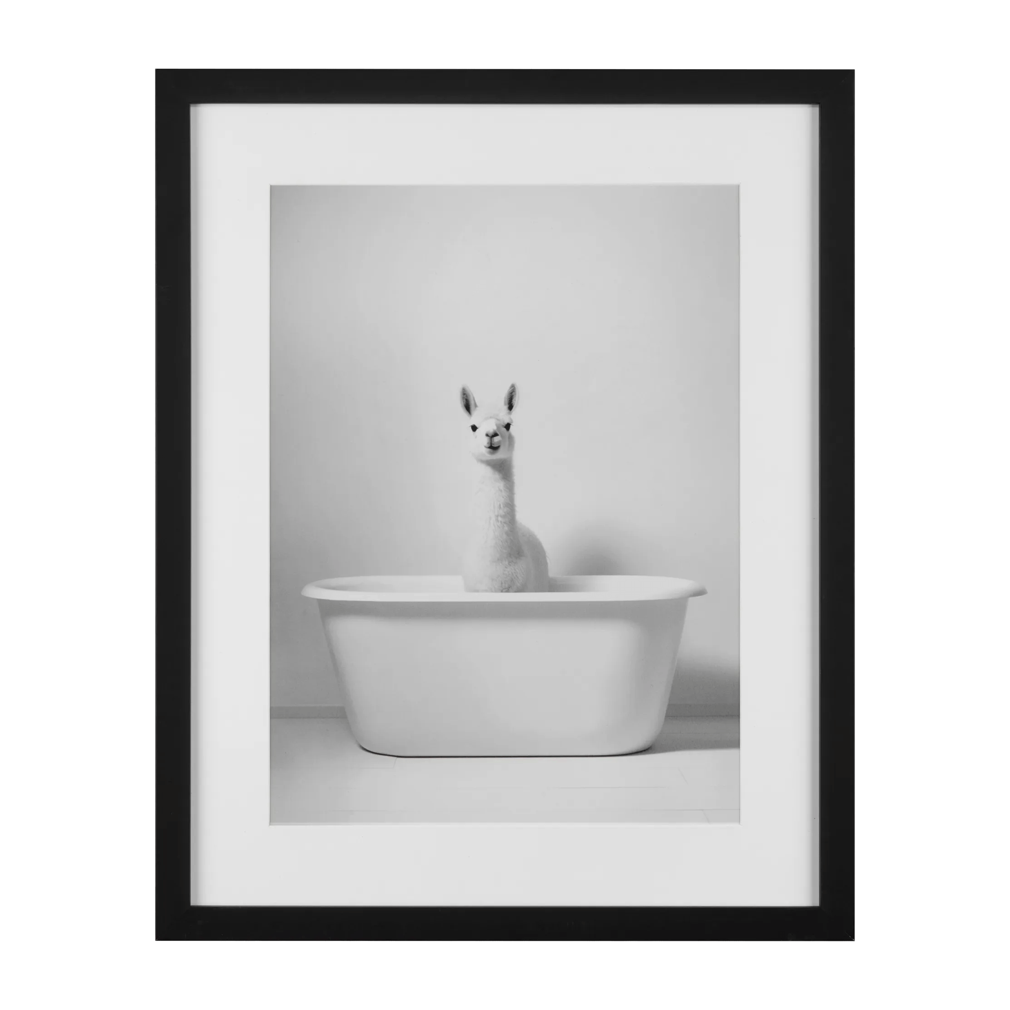 LLama in Bathtub Printed Framed Canvas