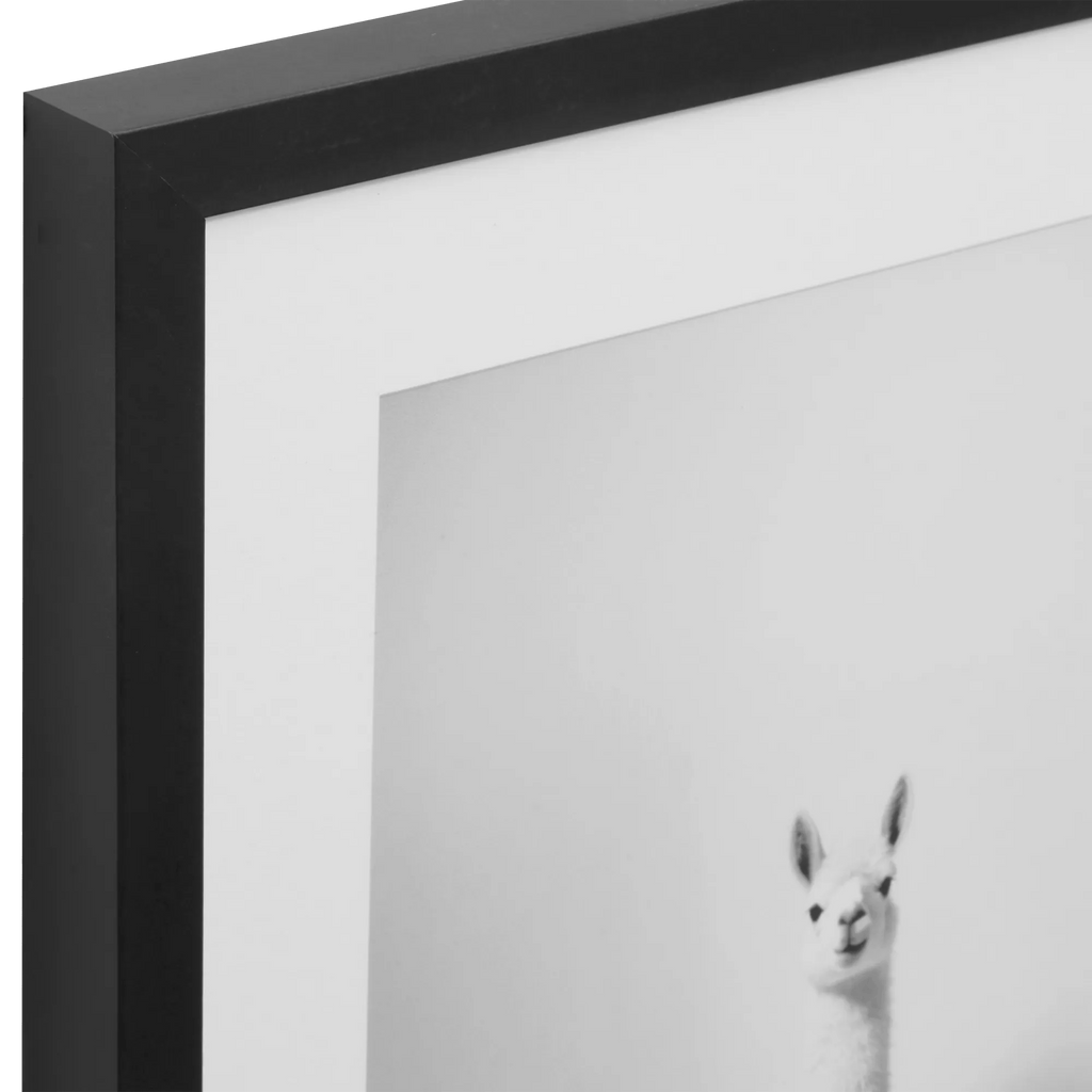 LLama in Bathtub Printed Framed Canvas