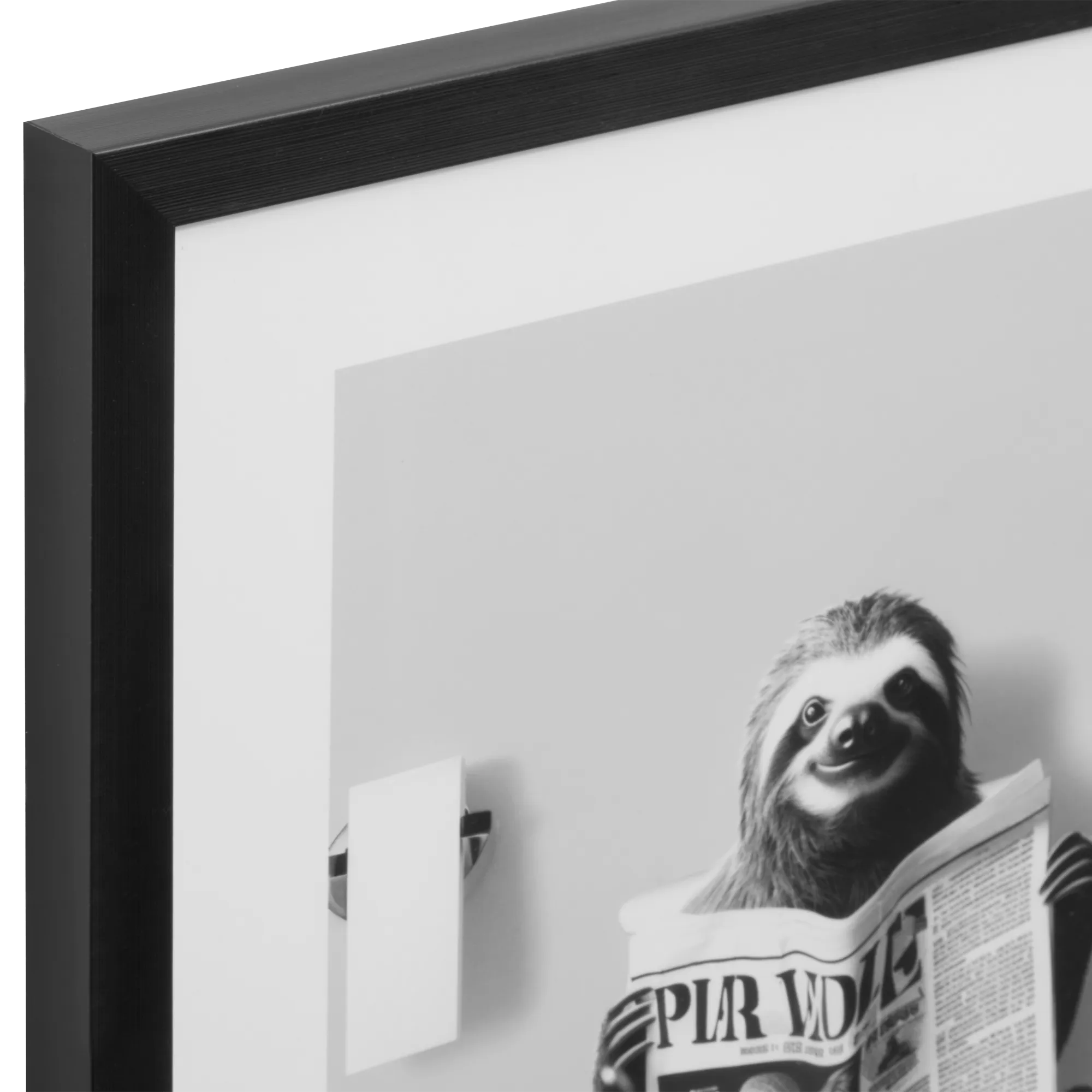 Sloth Reading Framed Art