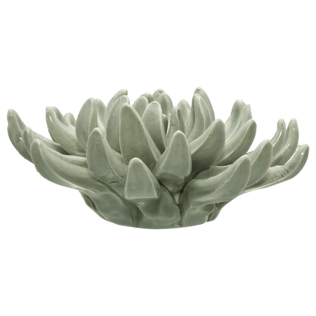 Ceramic Succulant