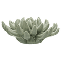 Ceramic Succulant