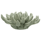 Ceramic Succulant