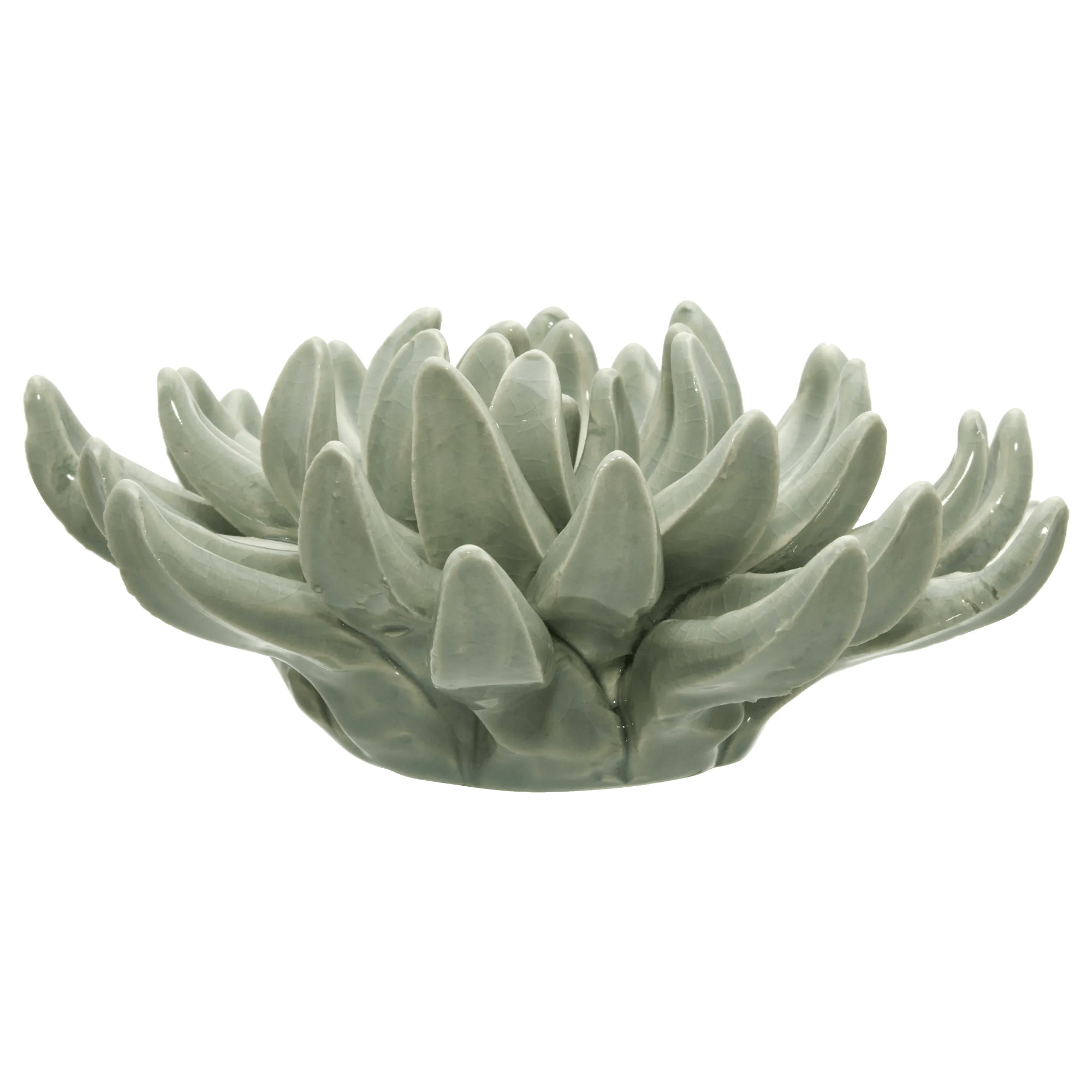Ceramic Succulant