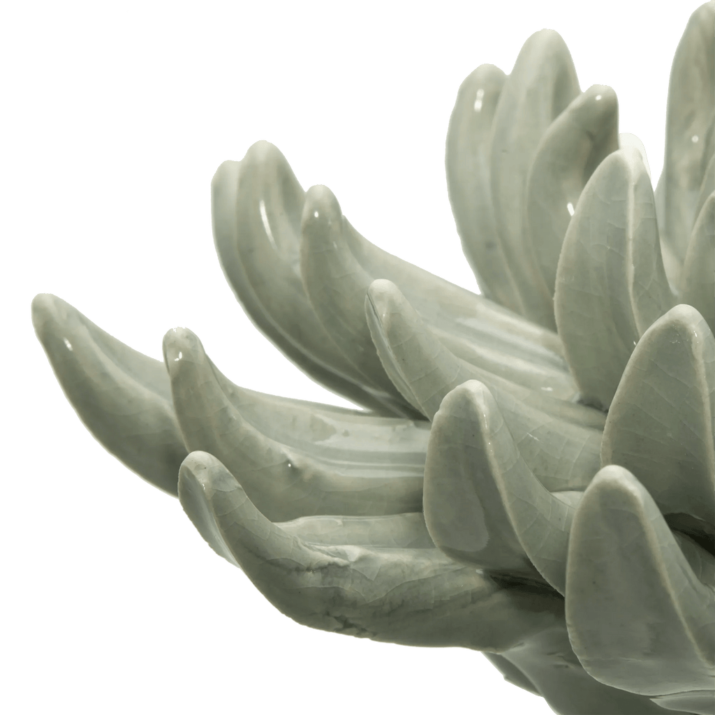Ceramic Succulant