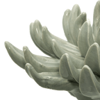 Ceramic Succulant