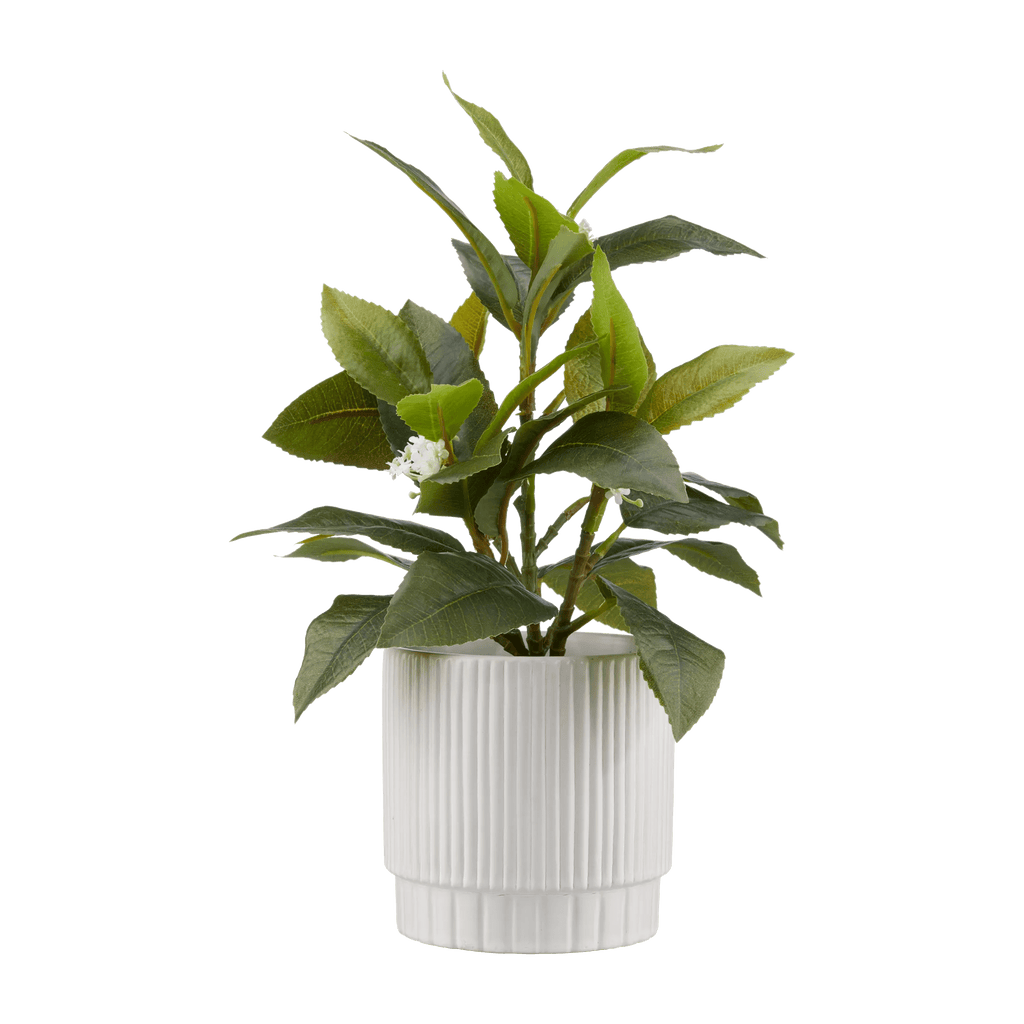 Artificial Plant in Striped Pot