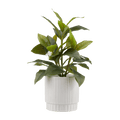 Artificial Plant in Striped Pot