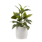Artificial Plant in Striped Pot