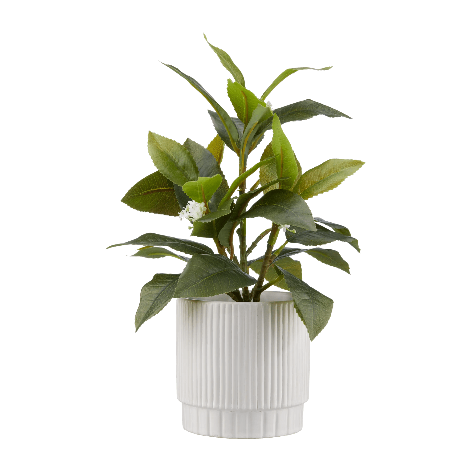 Artificial Plant in Striped Pot