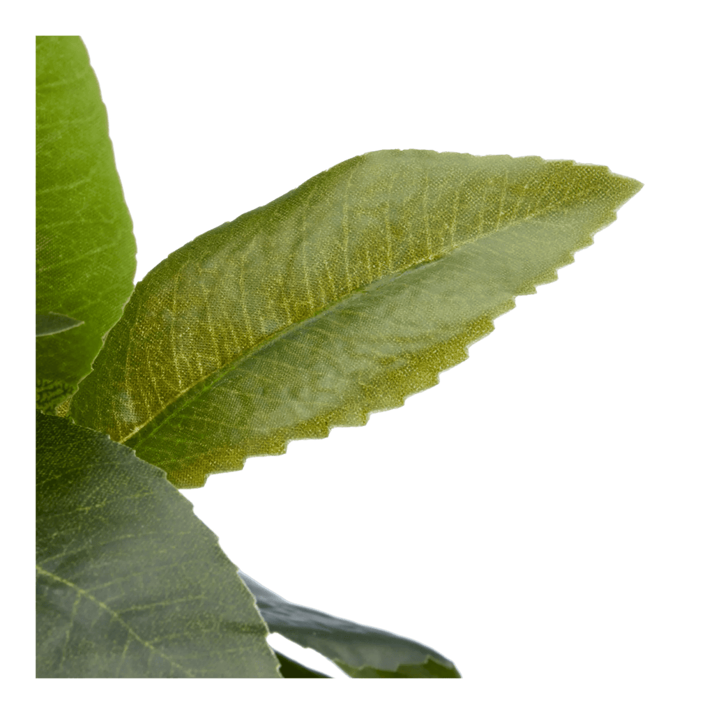 Artificial Plant in Striped Pot