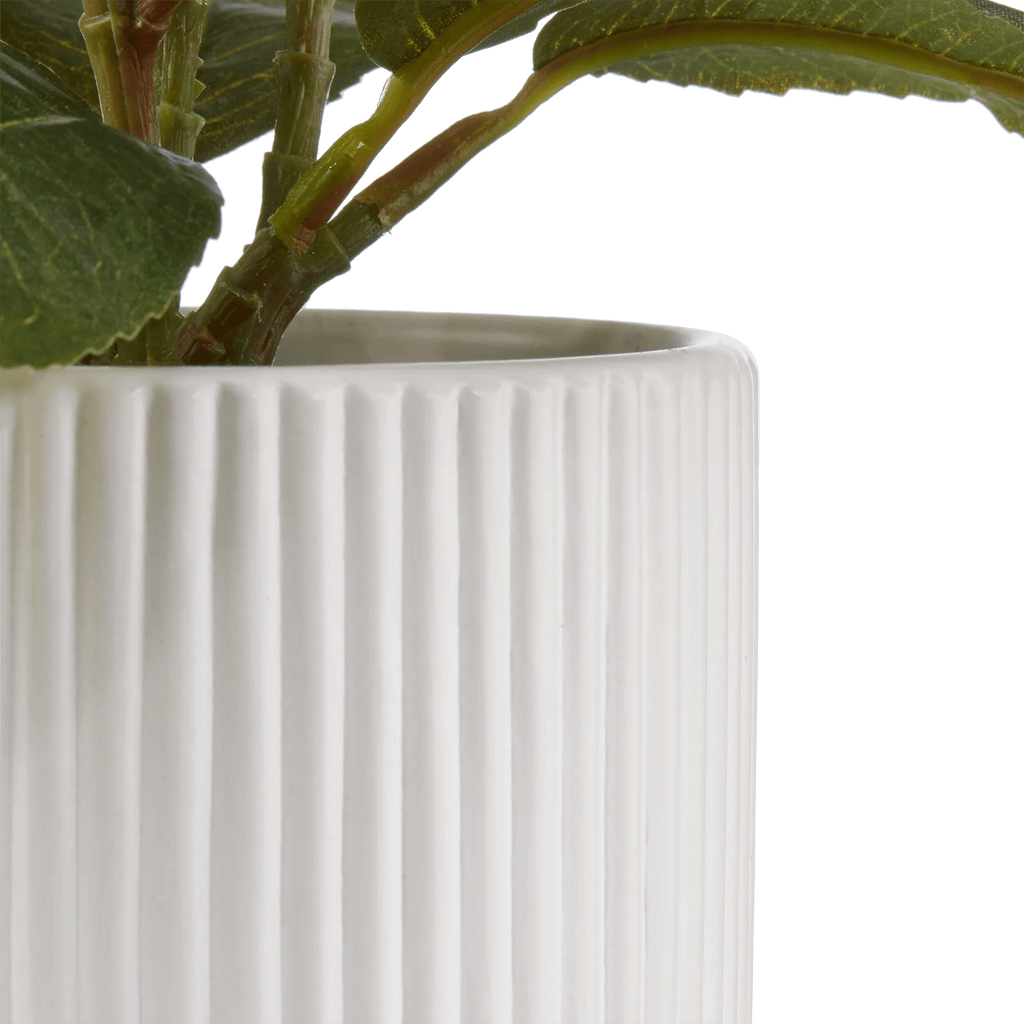 Artificial Plant in Striped Pot