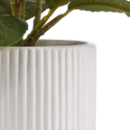 Artificial Plant in Striped Pot