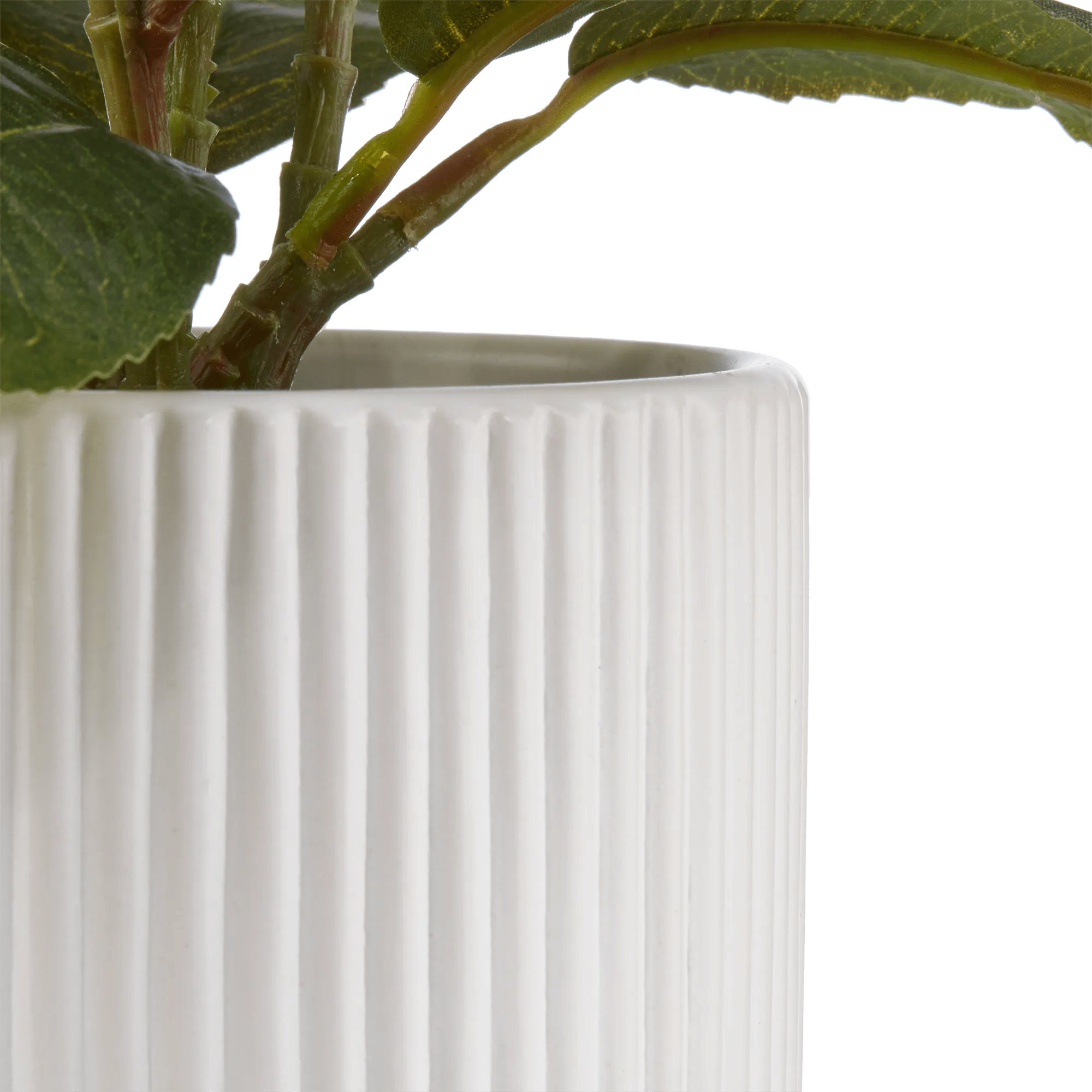 Artificial Plant in Striped Pot