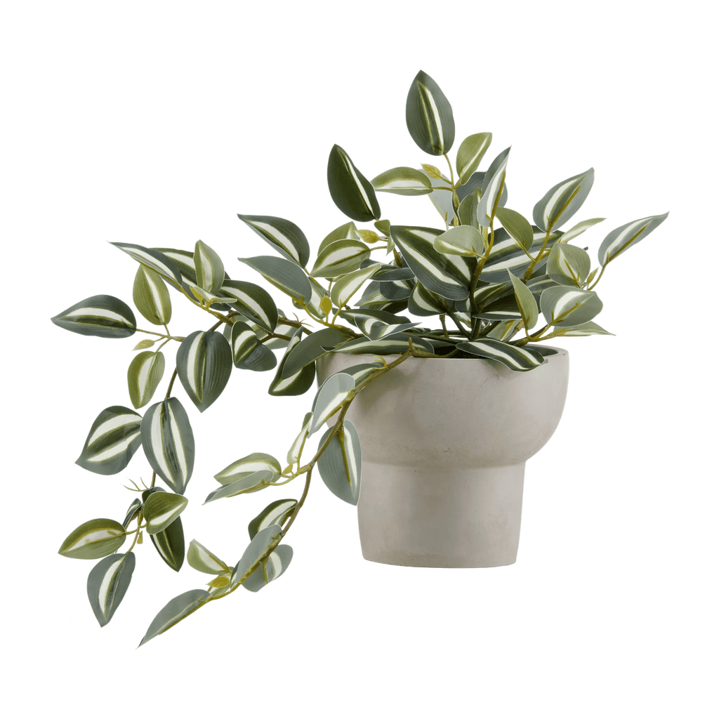 Potted Falling Leaves