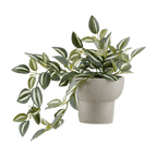 Potted Falling Leaves