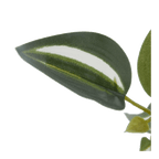 Potted Falling Leaves