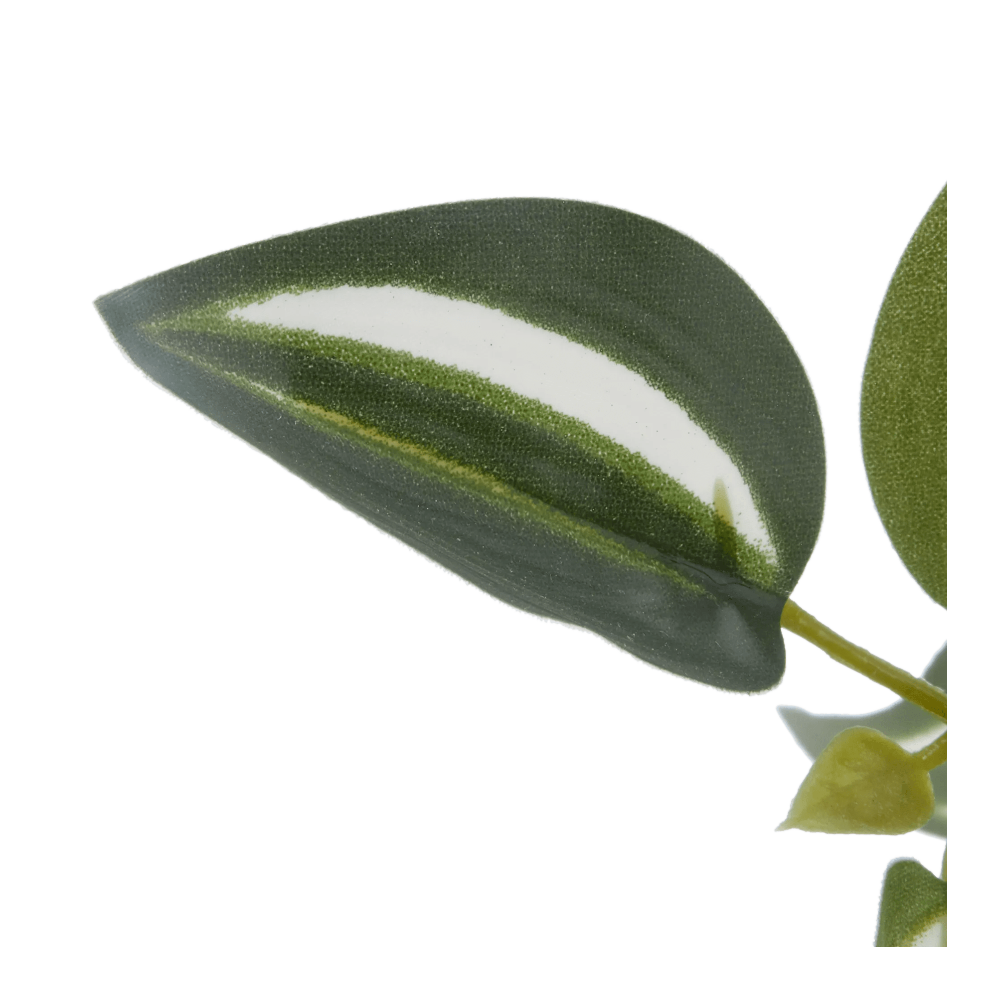 Potted Falling Leaves