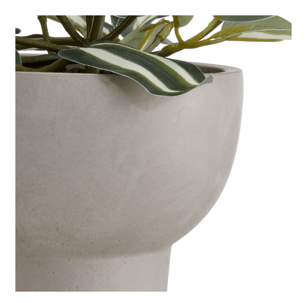 Potted Falling Leaves