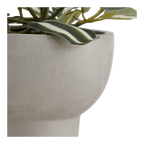 Potted Falling Leaves