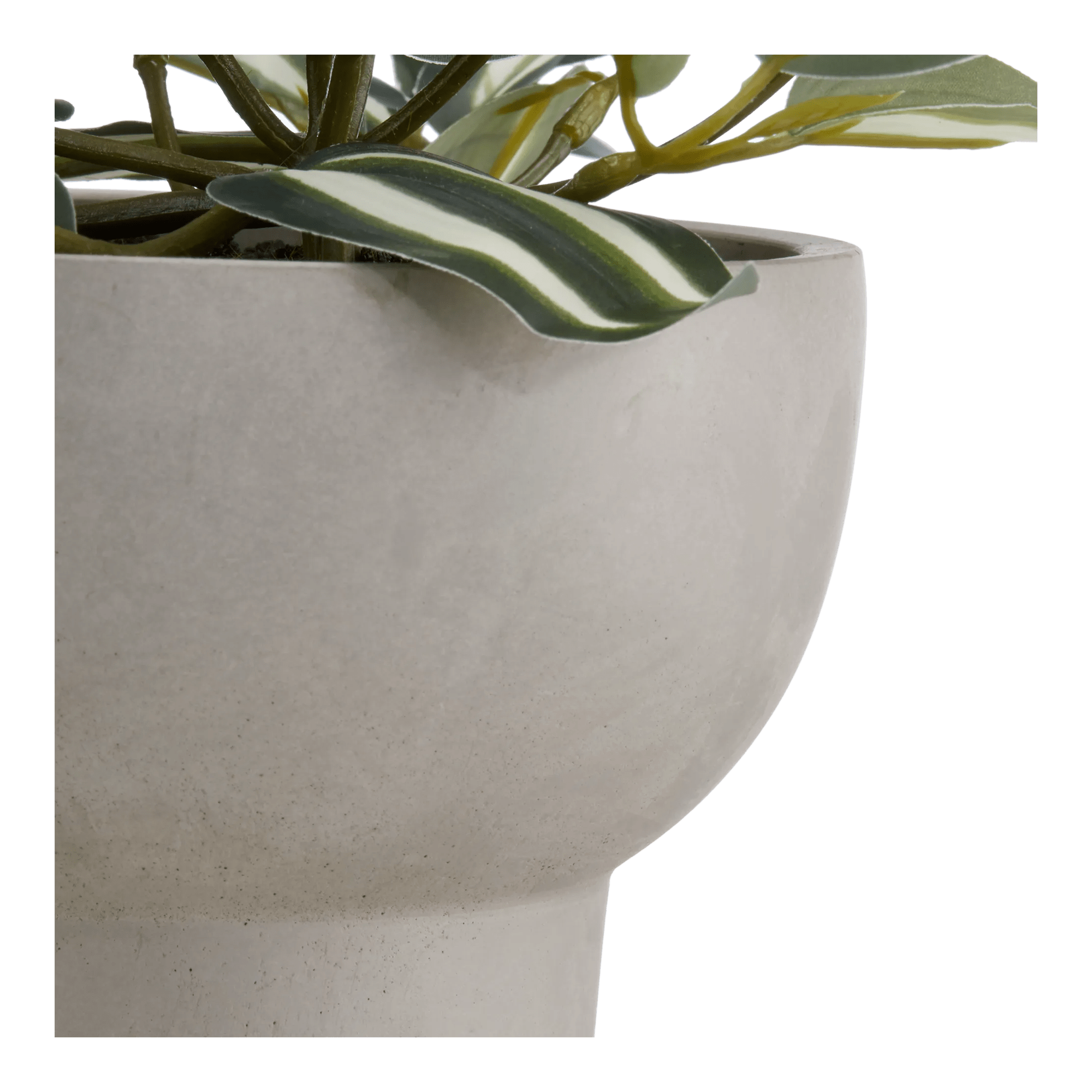 Potted Falling Leaves