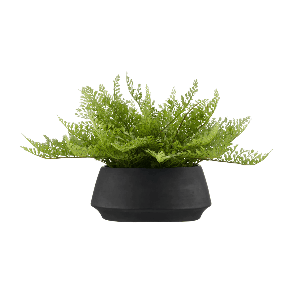 Pot with Artificial Fern