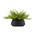 Pot with Artificial Fern