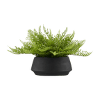 Pot with Artificial Fern