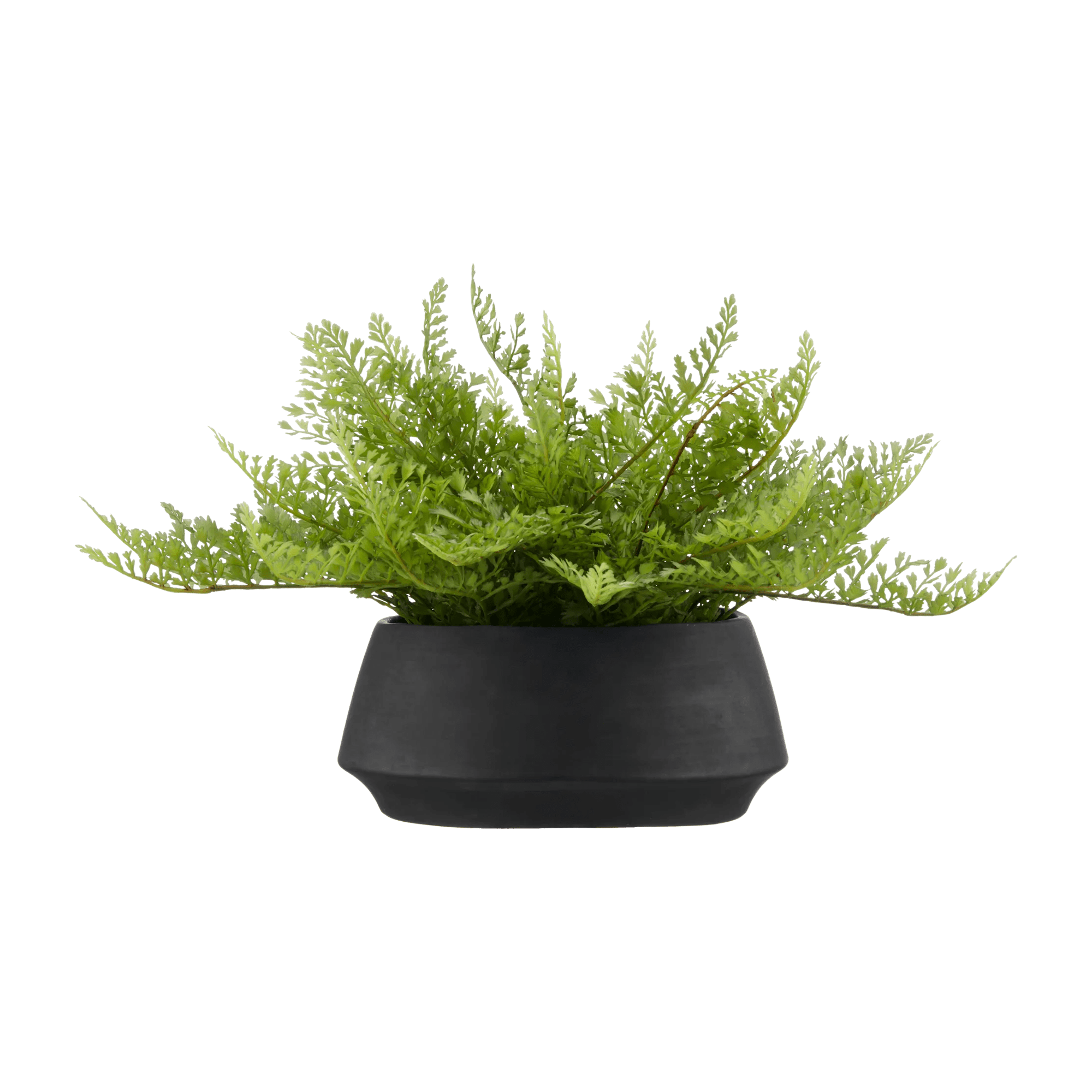 Pot with Artificial Fern