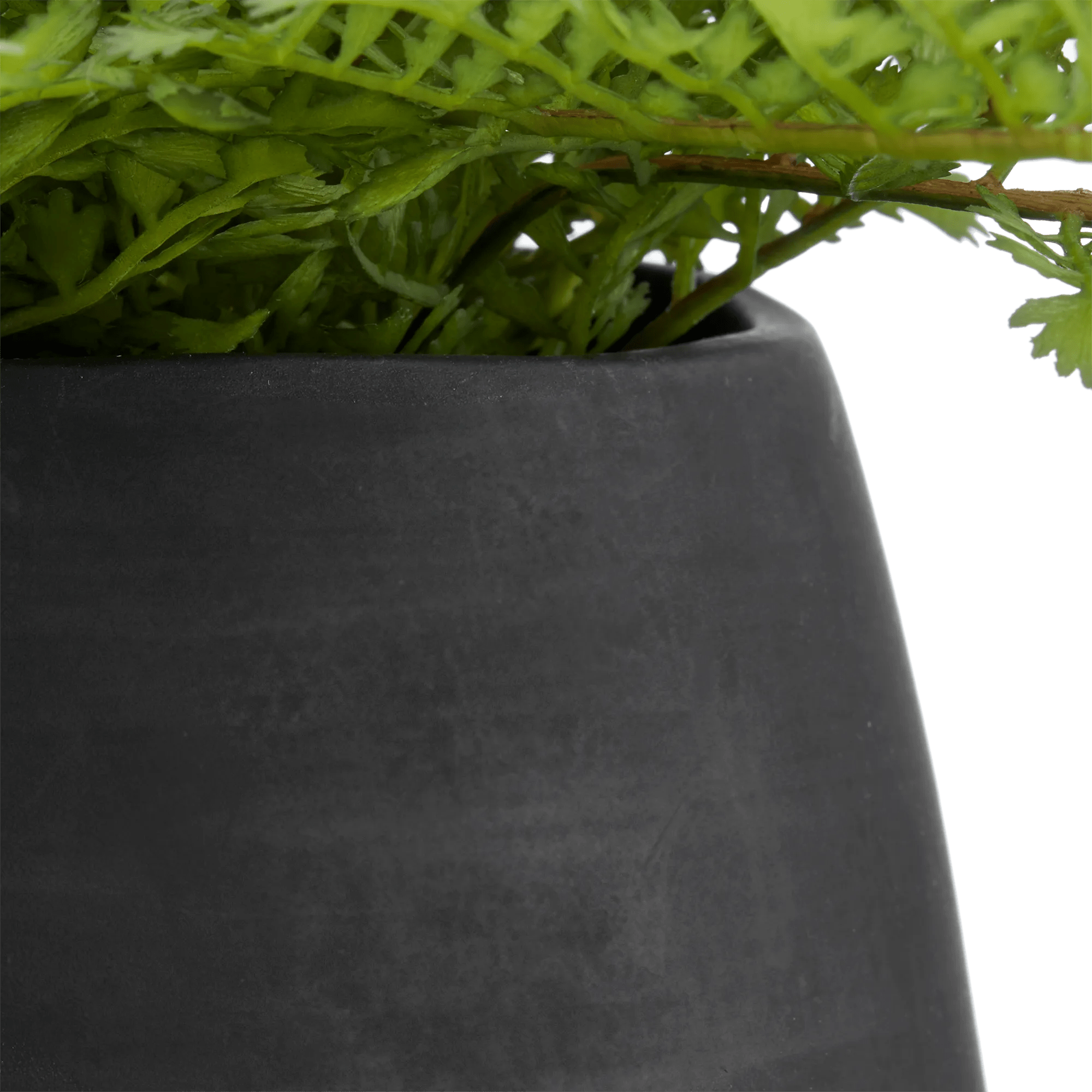 Pot with Artificial Fern