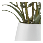 Blue Flowers in Ceramic Pot