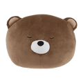 Brown Bear Decorative Pillow