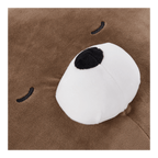 Brown Bear Decorative Pillow