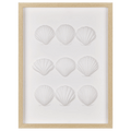Framed Art 3D Shells