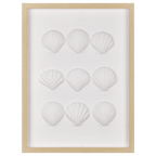 Framed Art 3D Shells