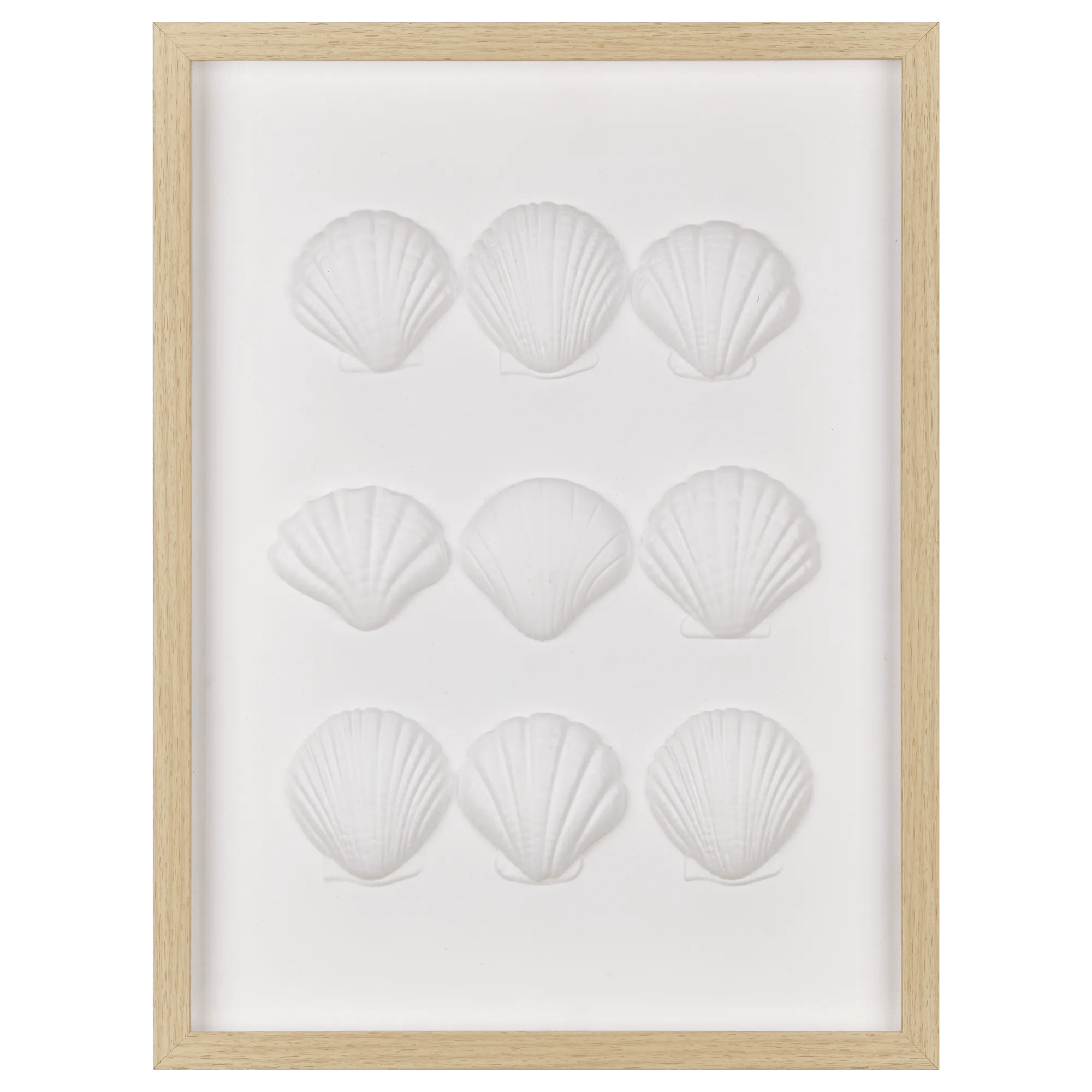 Framed Art 3D Shells