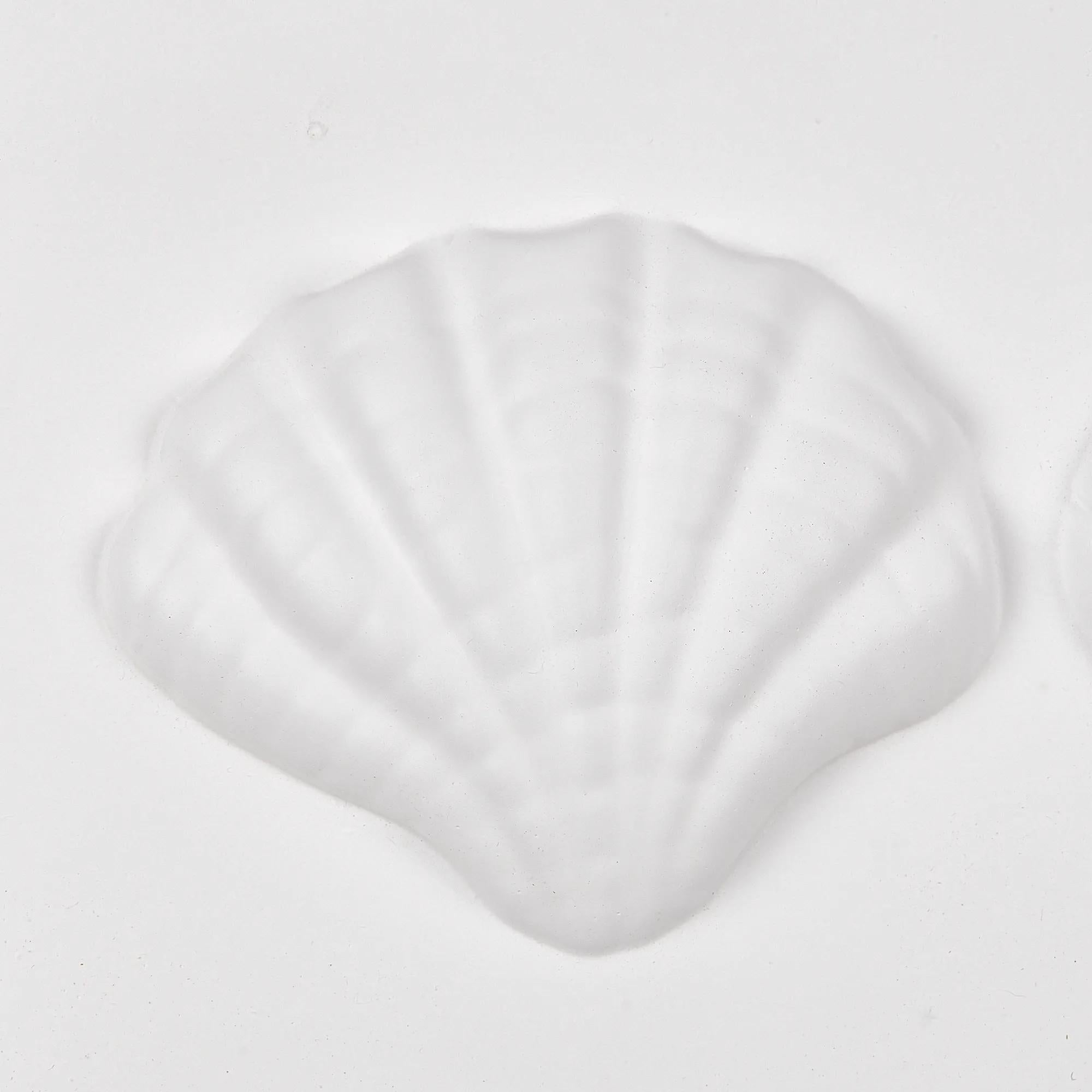 Framed Art 3D Shells