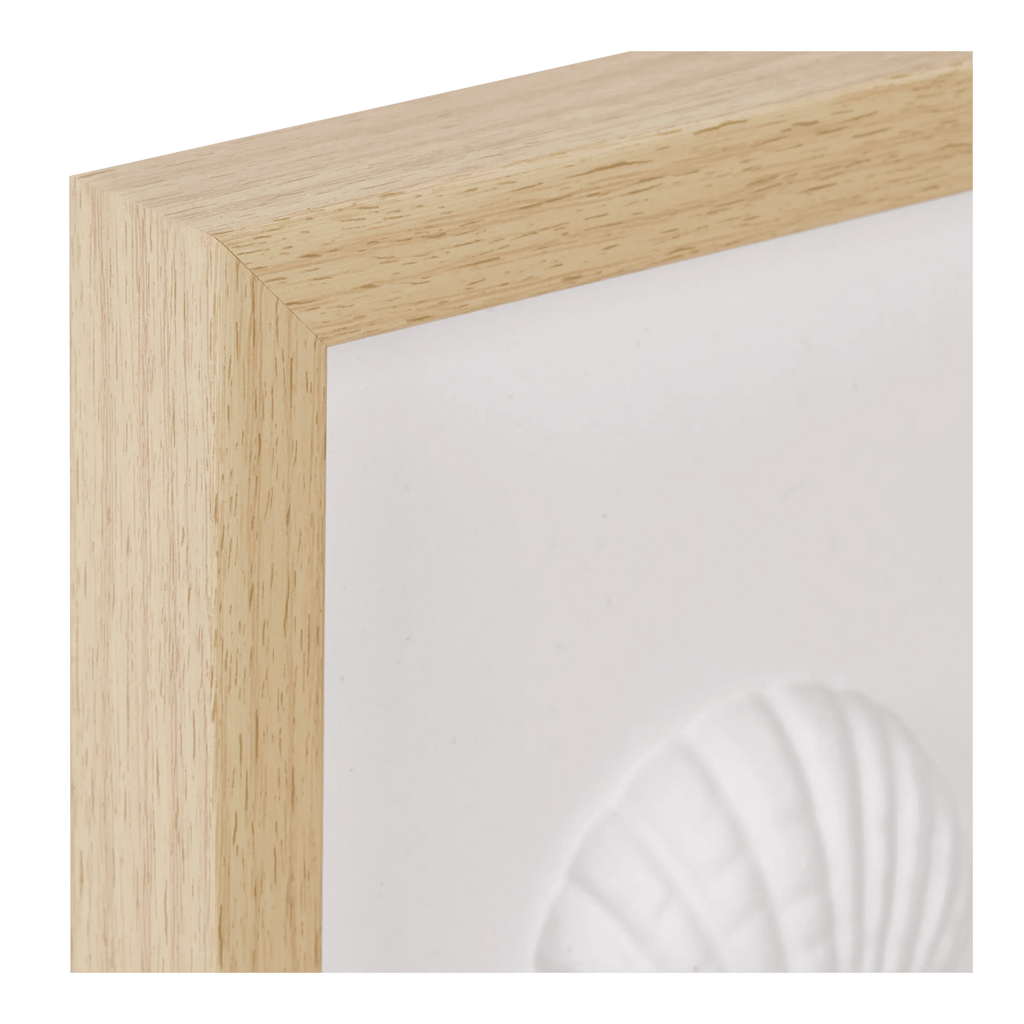Framed Art 3D Shells