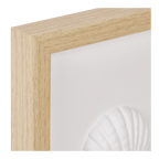 Framed Art 3D Shells