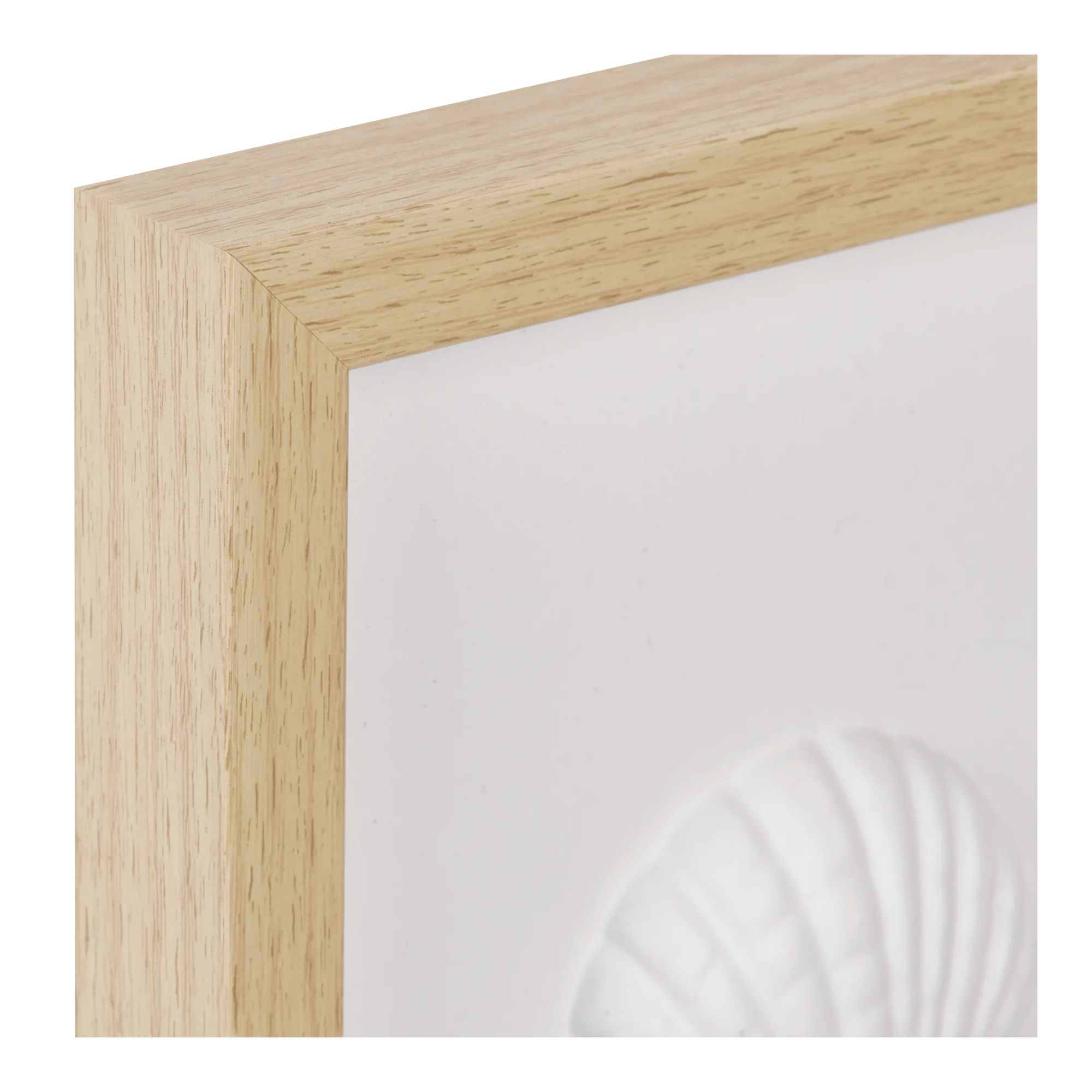Framed Art 3D Shells
