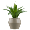 Artificial Plant in a Pot
